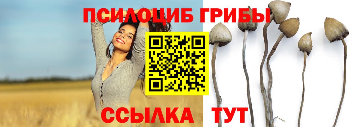 Псилоцибиновые грибы GOLDEN TEACHER  Псилоцибиновые грибы Magic Shrooms  Клинцы  Вход с VPN 